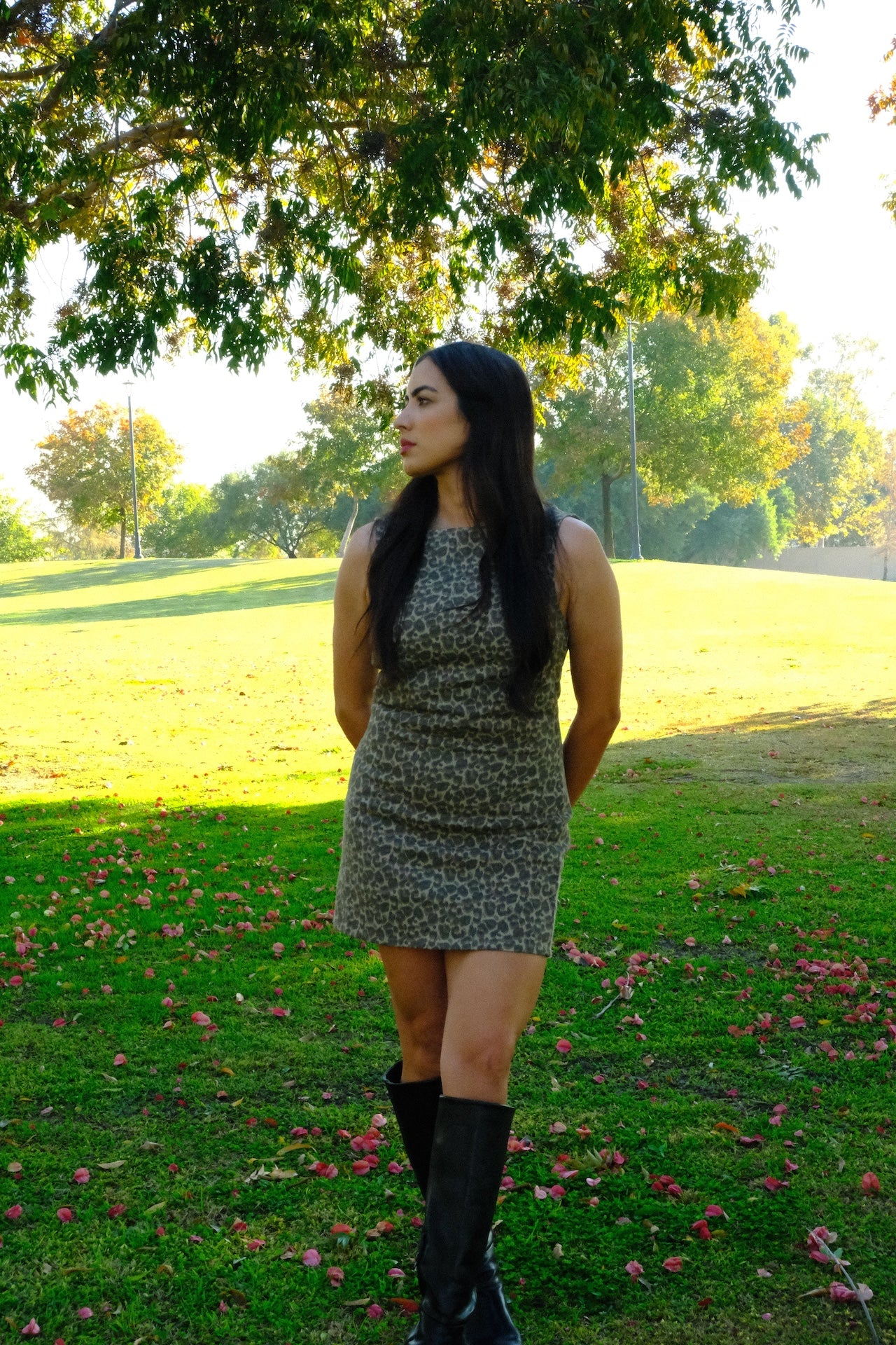 Jayne Leopard Boat Neck Dress
